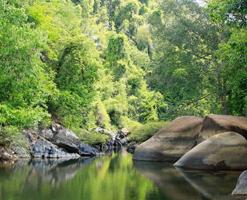 Khao Sok Nationalpark